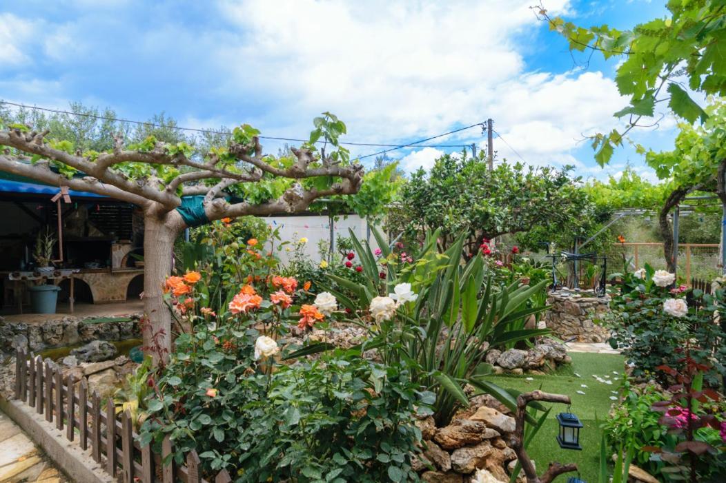 Dimitris'S Country House Agia  Exterior foto